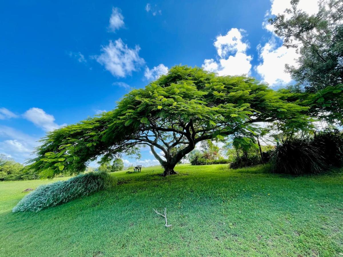 Tropical Coast Retreat - Pet Friendly - Adult Only ξενώνας Kingscliff Εξωτερικό φωτογραφία