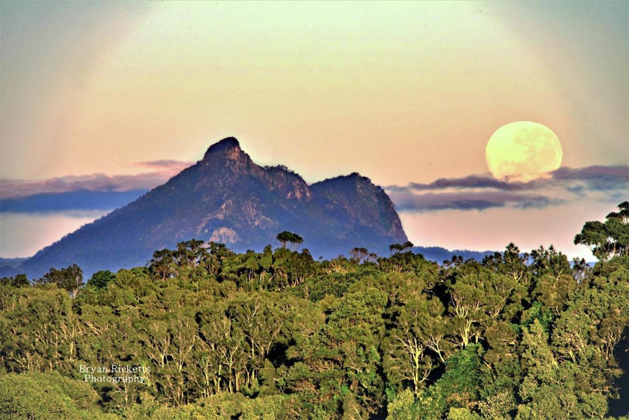 Tropical Coast Retreat - Pet Friendly - Adult Only ξενώνας Kingscliff Εξωτερικό φωτογραφία