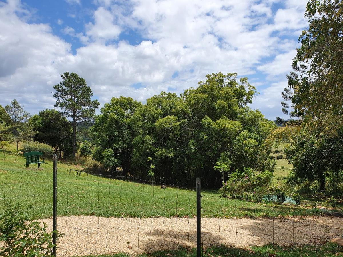 Tropical Coast Retreat - Pet Friendly - Adult Only ξενώνας Kingscliff Εξωτερικό φωτογραφία