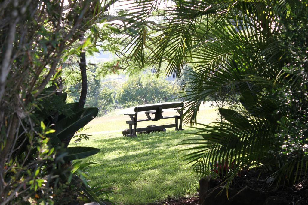 Tropical Coast Retreat - Pet Friendly - Adult Only ξενώνας Kingscliff Εξωτερικό φωτογραφία