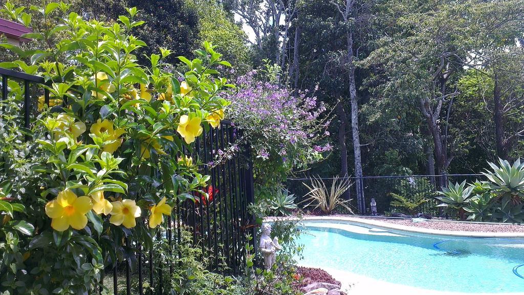 Tropical Coast Retreat - Pet Friendly - Adult Only ξενώνας Kingscliff Εξωτερικό φωτογραφία