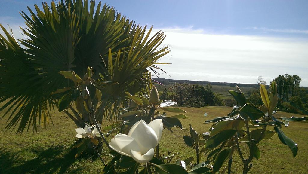 Tropical Coast Retreat - Pet Friendly - Adult Only ξενώνας Kingscliff Εξωτερικό φωτογραφία