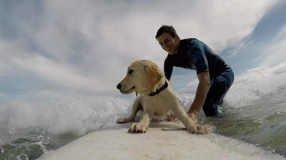 Tropical Coast Retreat - Pet Friendly - Adult Only ξενώνας Kingscliff Εξωτερικό φωτογραφία